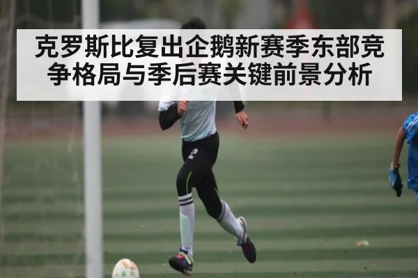 克罗斯比复出企鹅新赛季东部竞争格局与季后赛关键前景分析